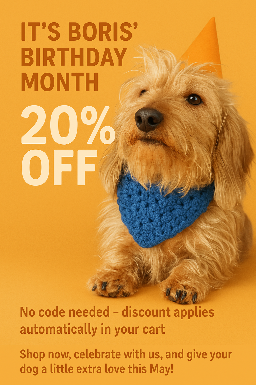 Boris Is Turning 4! Celebrate With Us!