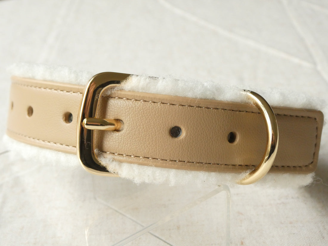 Vegan Leather vs Real Leather Dog Collars And Leashes: Which One Is Better?