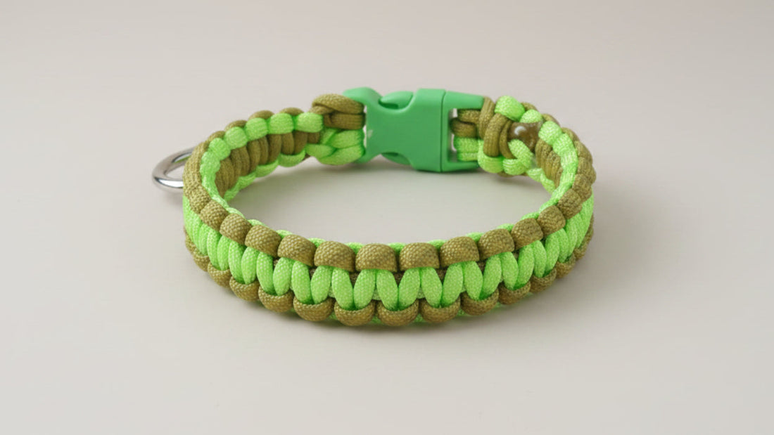 Why Paracord? Should I Trust This Material For My Dog's Accessories?