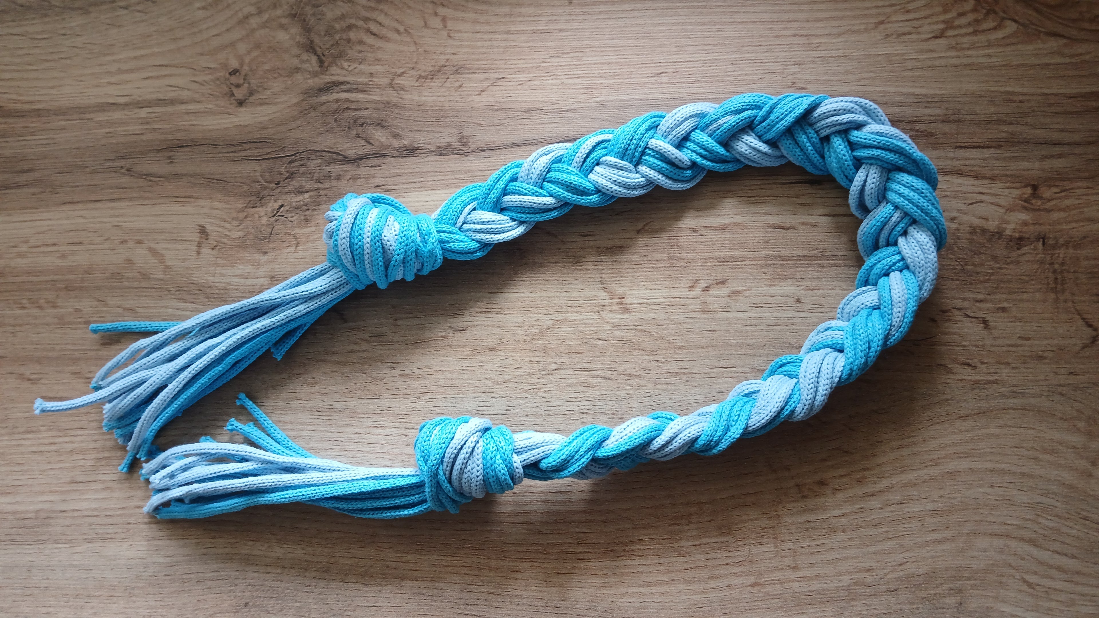Strong, Durable Blue Rope Tug Dog Toy