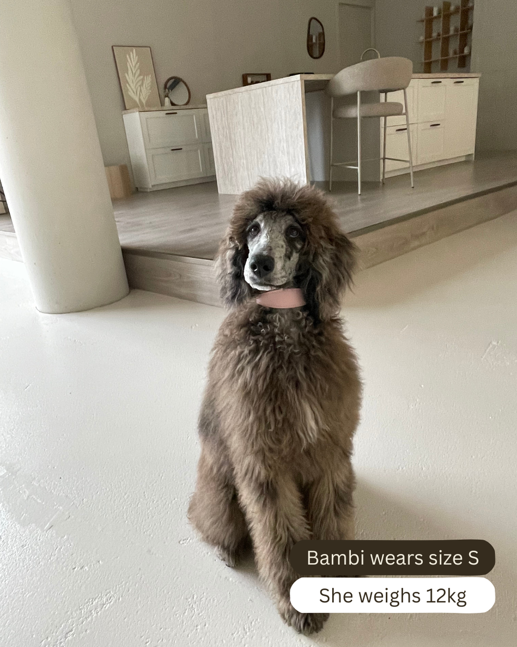 Roze veganistische leren halsband