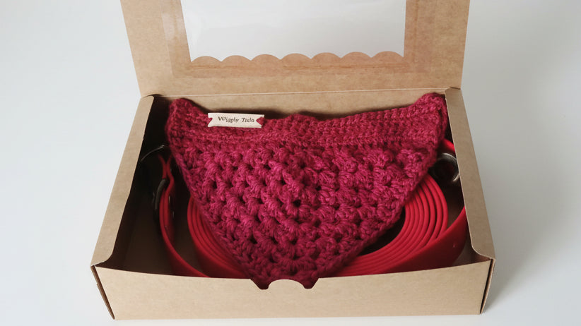 Biothane dog collar and leash set in a gift box