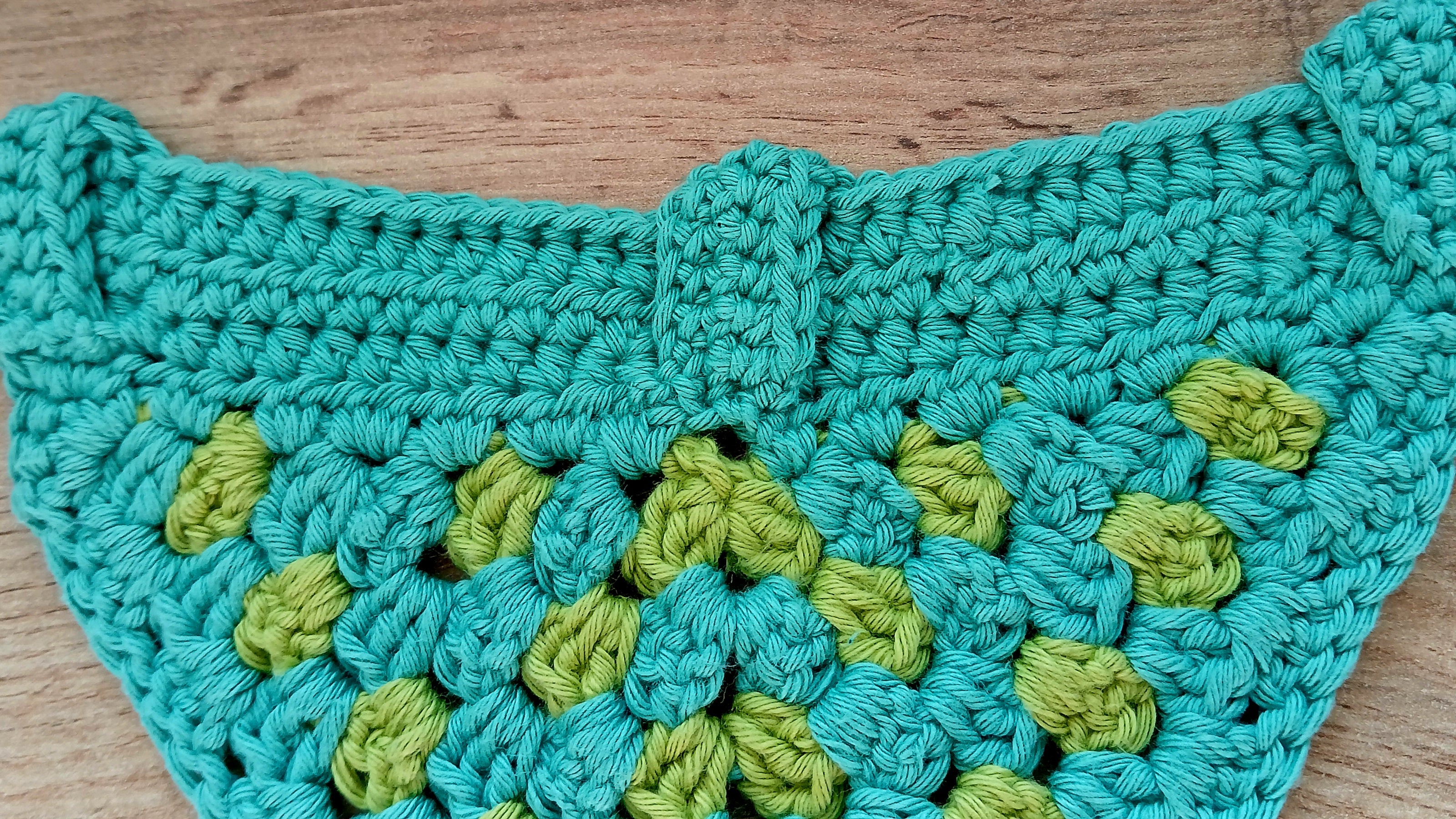 Teal and green crochet dog bandana - view from the back, showing buckles 
