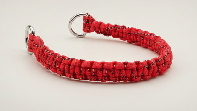 Red braided dog collar