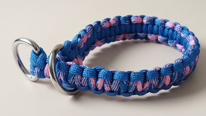 Blue and pink braided dog collar with metal rings