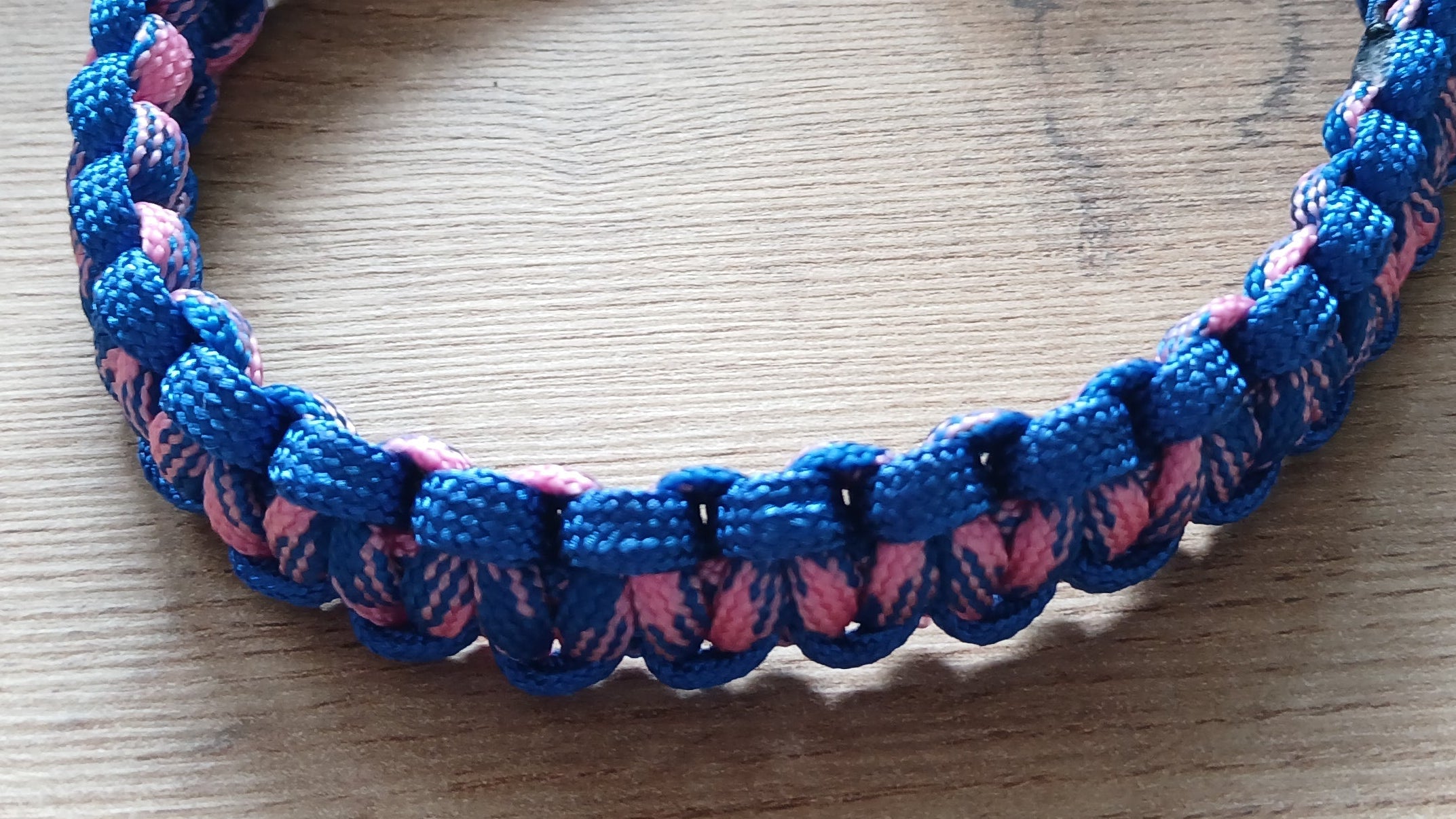 Blue and pink braided dog collar on a wooden surface