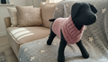 A dog mannequin wearing a crochet dog sweater in small size