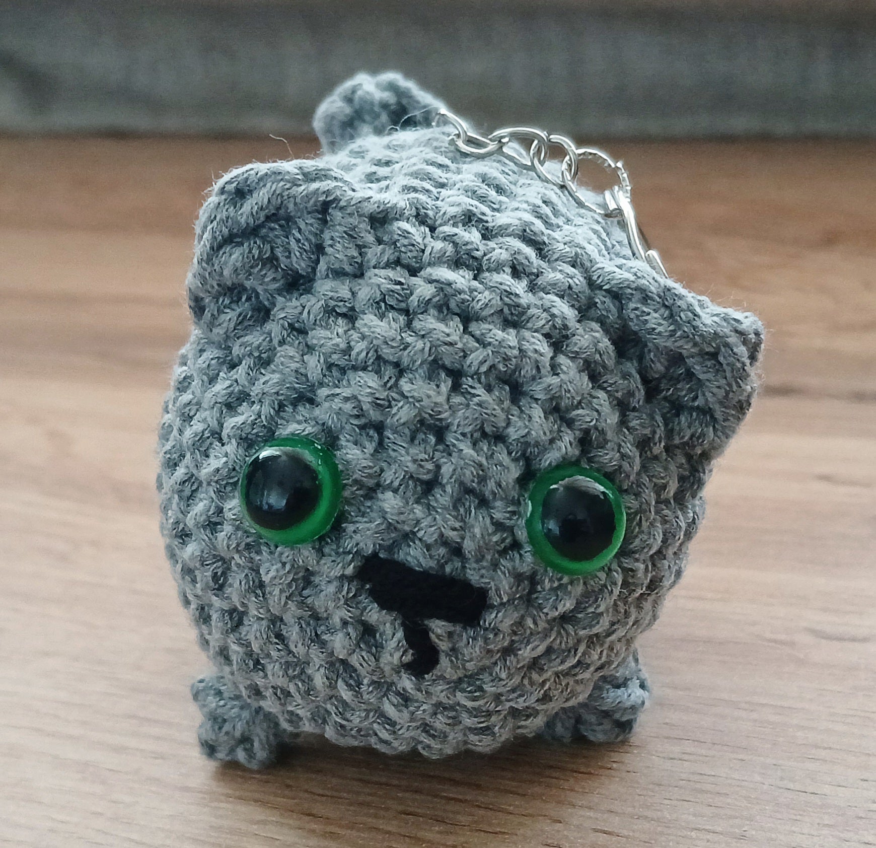 Chunky gray cat with green eyes