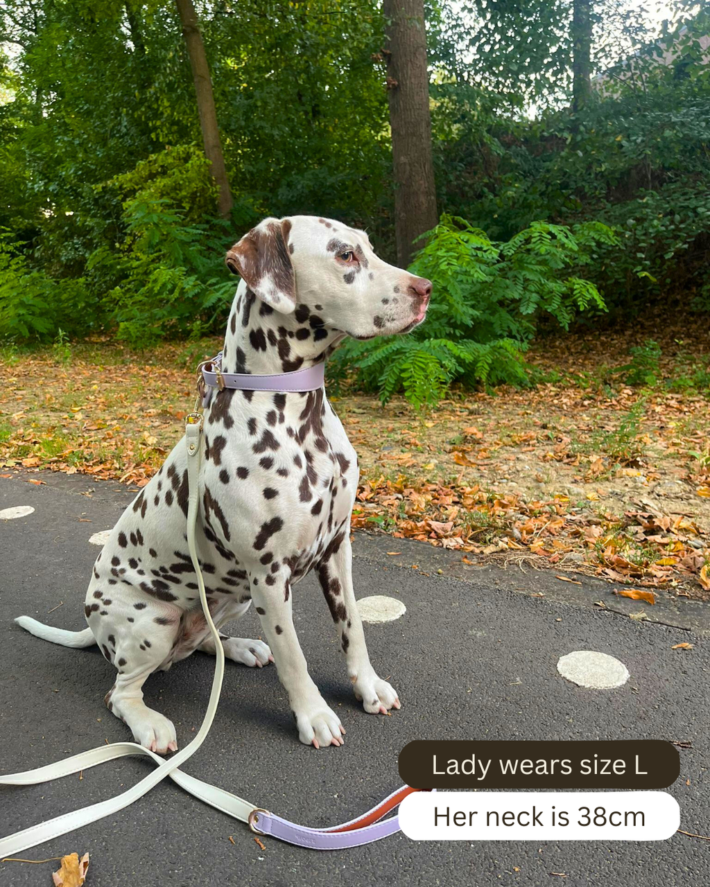 Lila veganistische leren halsband