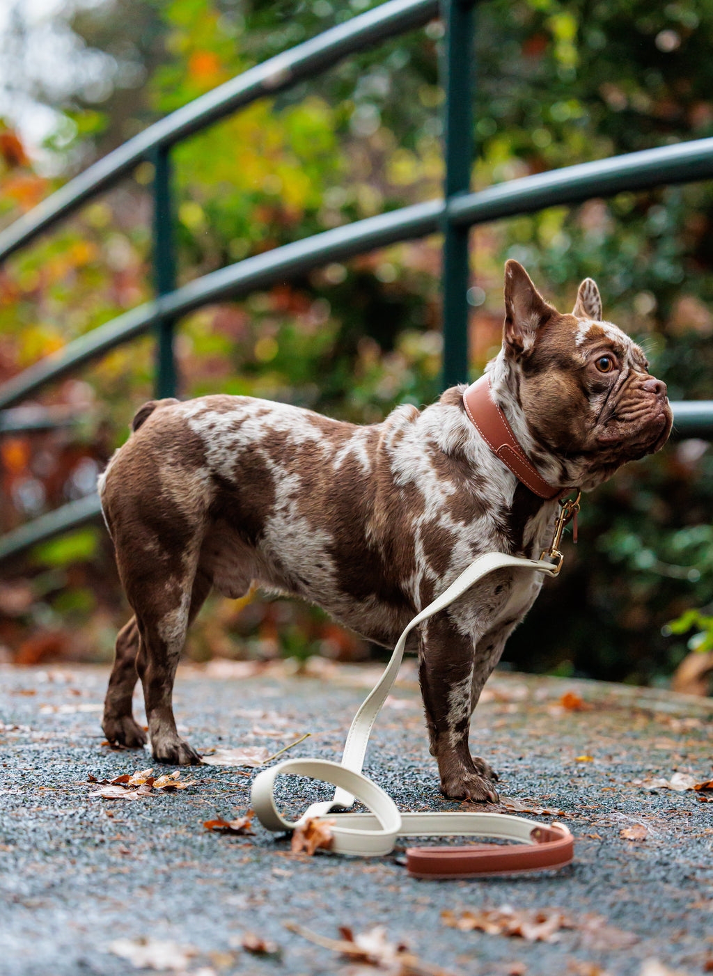 Mocha veganistische leren halsband