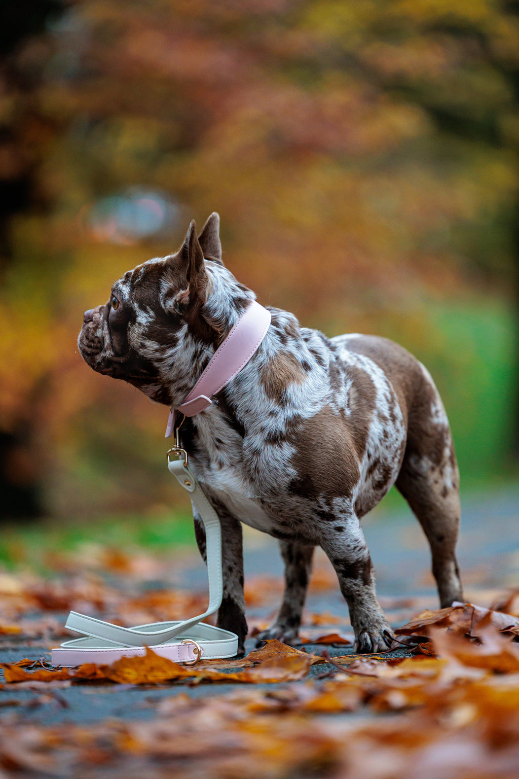 Roze veganistische leren halsband