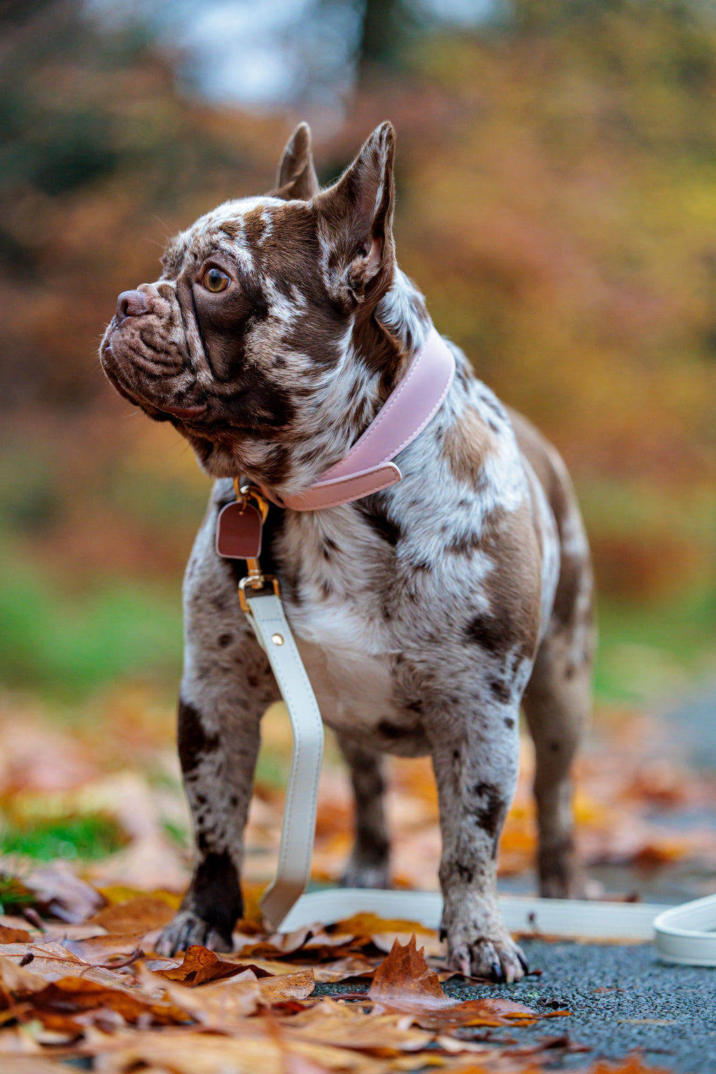 Roze veganistische leren riem