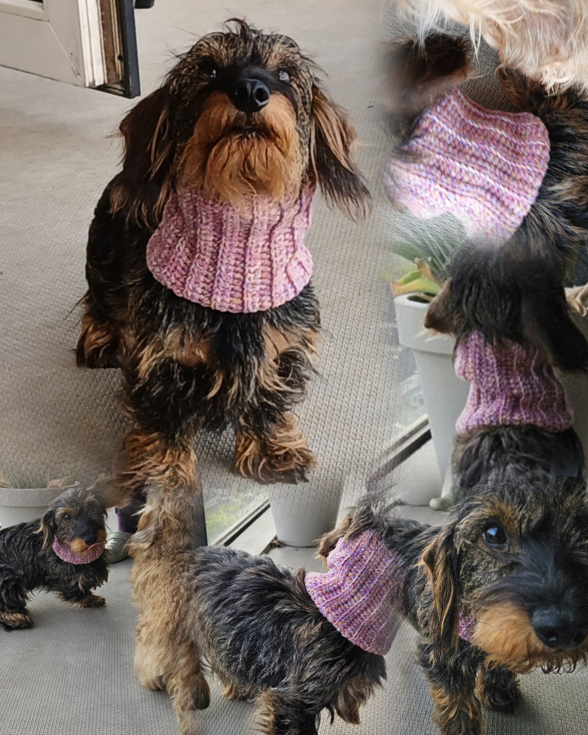 Schattige geribbelde hondensjaal, roze hondenhaaksjaal