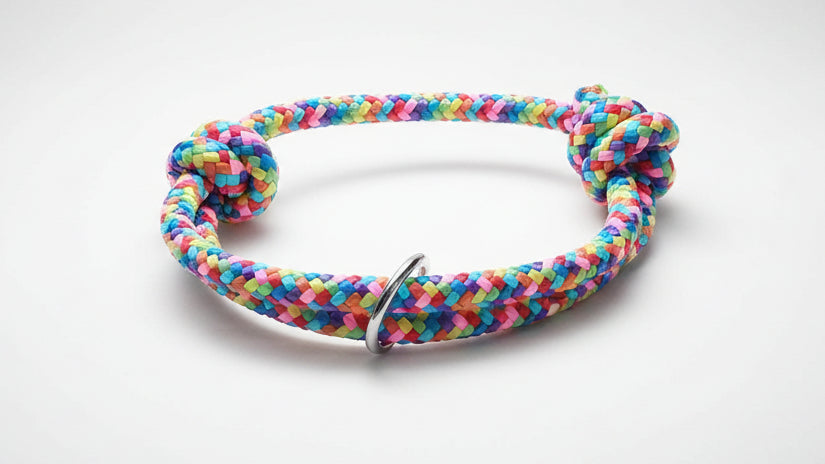 Colorful braided dog collar 