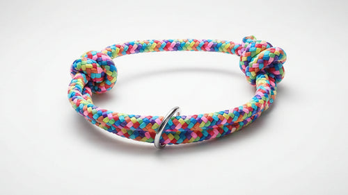 Colorful braided dog collar 