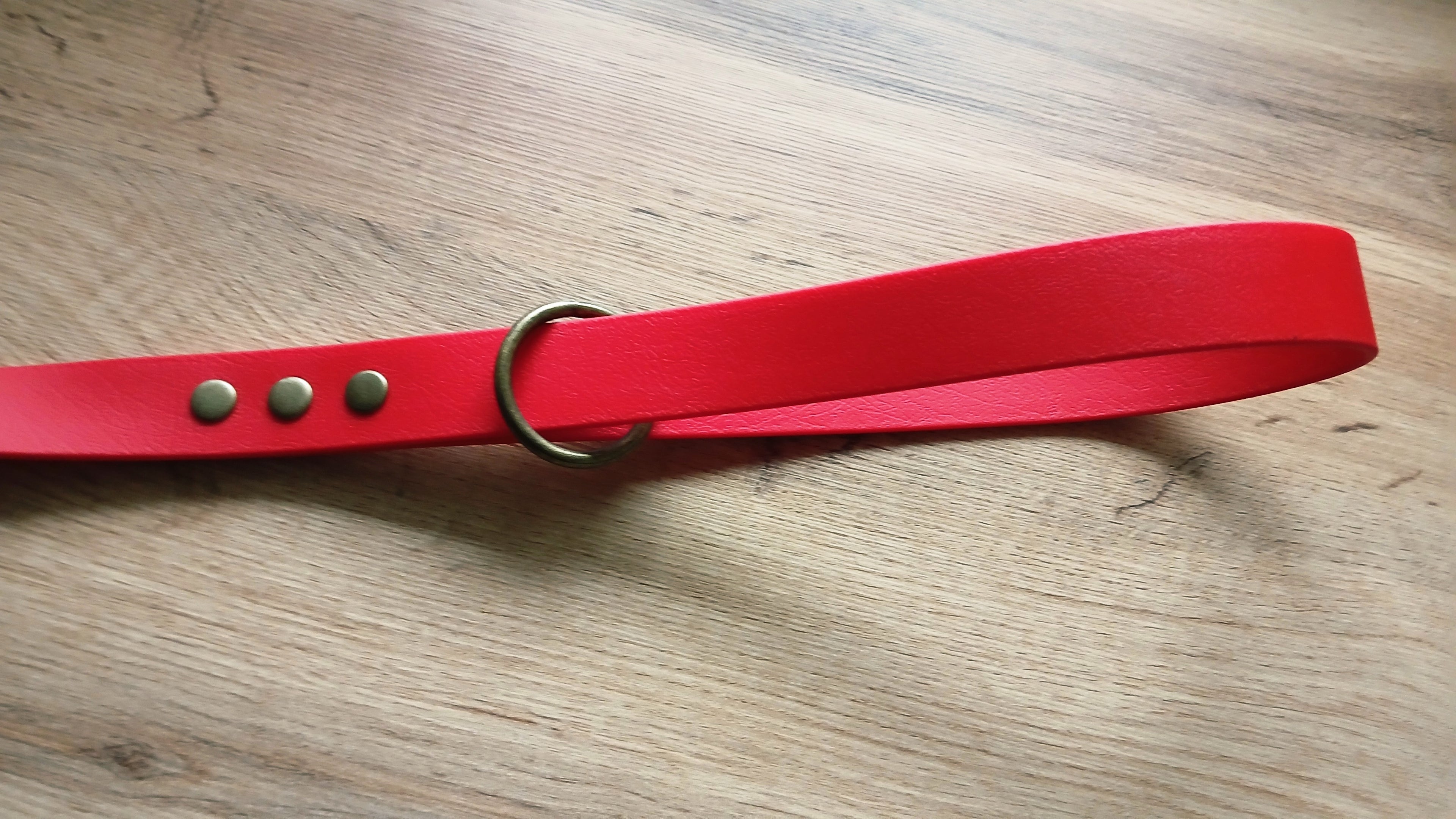 Red biothane dog leash handle