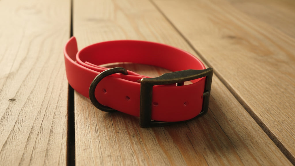 Red dog collar on a wooden surface 