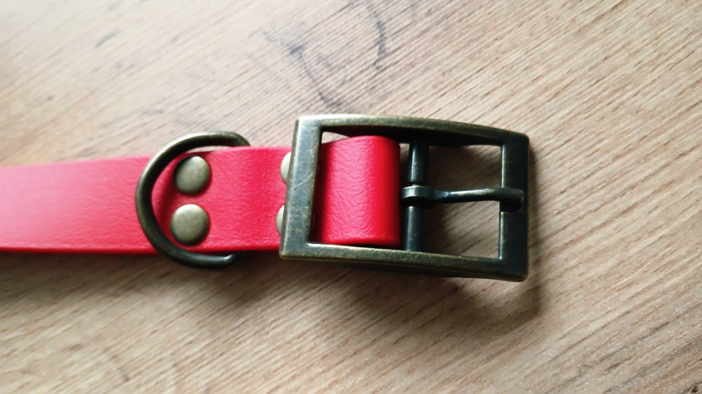 Close up on a buckle of red dog collar
