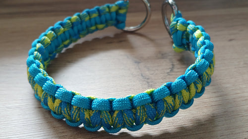 Blue and green braided dog collar on a wooden surface