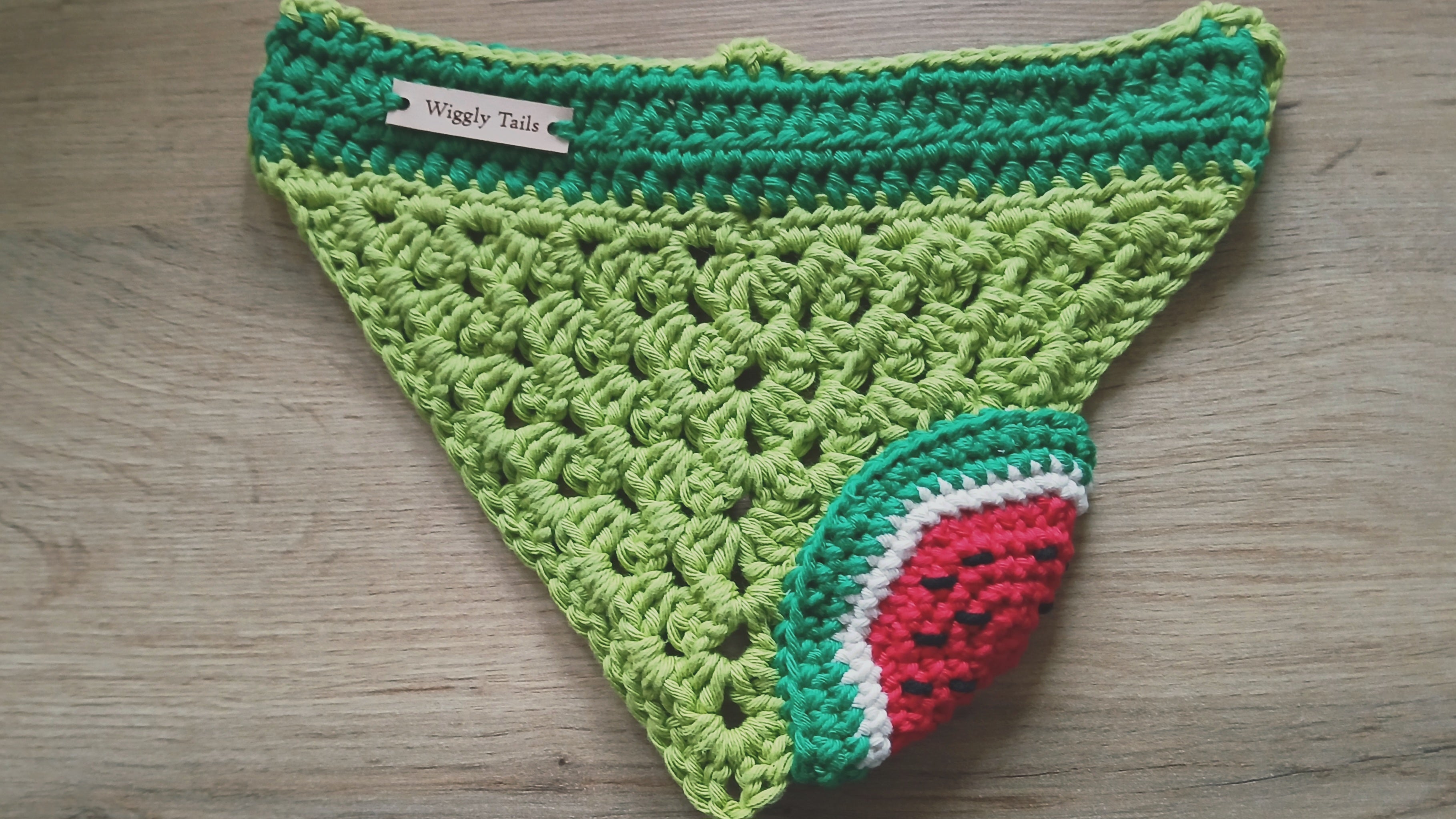 Crocheted green slip over the collar dog bandana with watermelon design