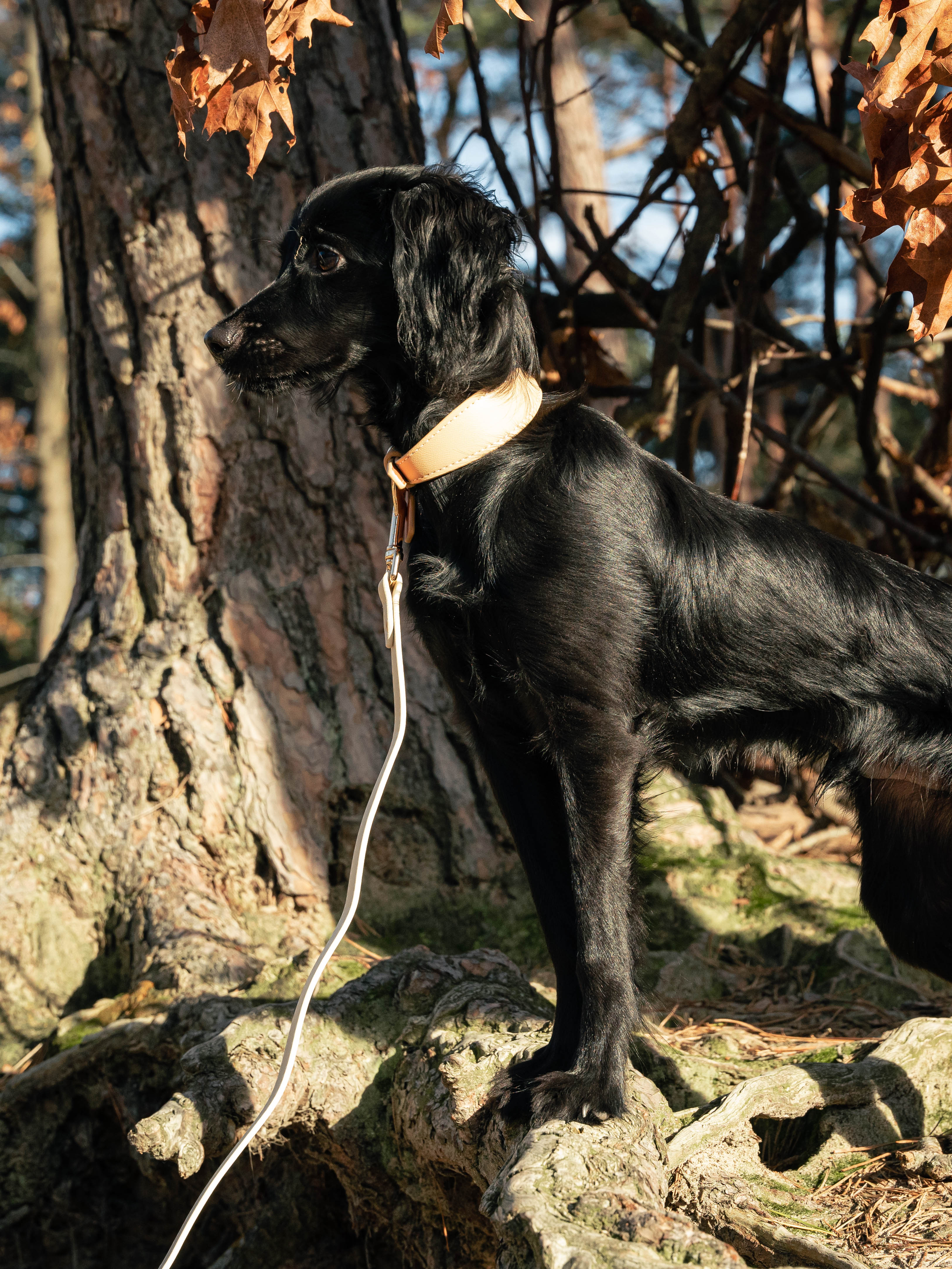 Beige veganistische leren halsband