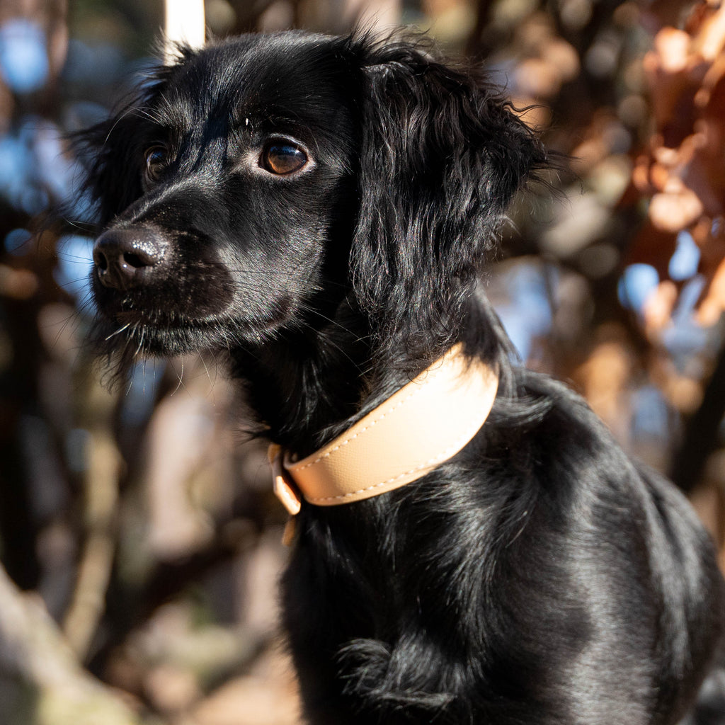 Beige veganistische leren halsband