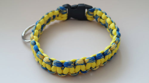 Yellow and blue braided dog collar