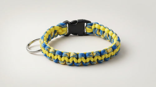 Yellow and blue braided dog collar 