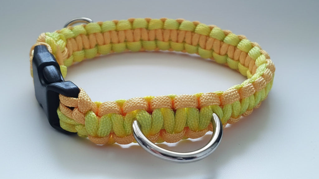 Dog collar with black buckle and neon yellow braided paracord design