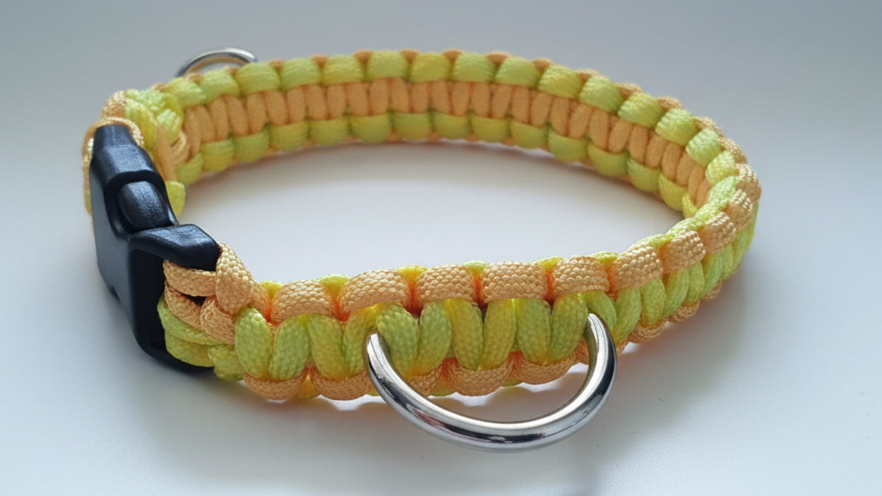 Dog collar with black buckle and neon yellow braided paracord design