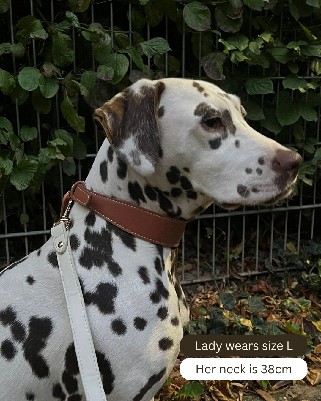 Mocha veganistische leren halsband