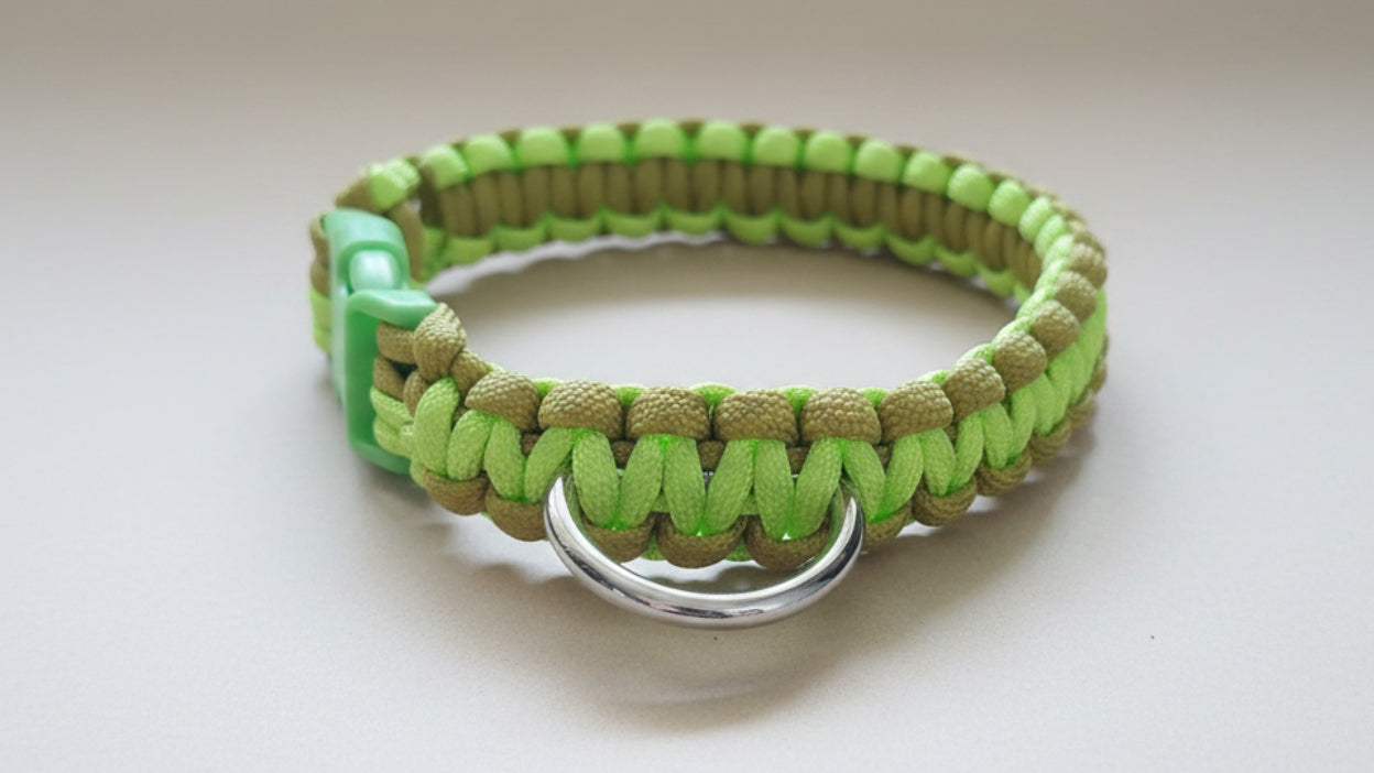 Green paracord dog collar for a small dog