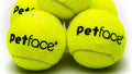 tennis balls for dogs