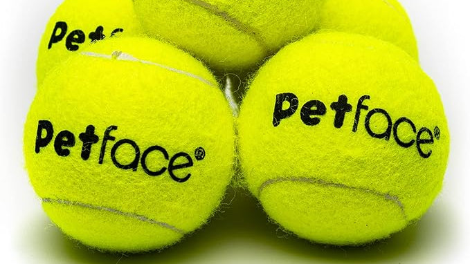 tennis balls for dogs
