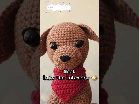 Lily de Labrador Retriever - Bureauvriendje