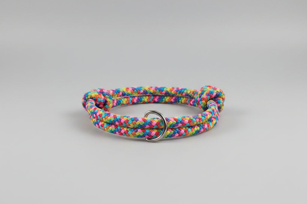 Colorful braided dog collar 
