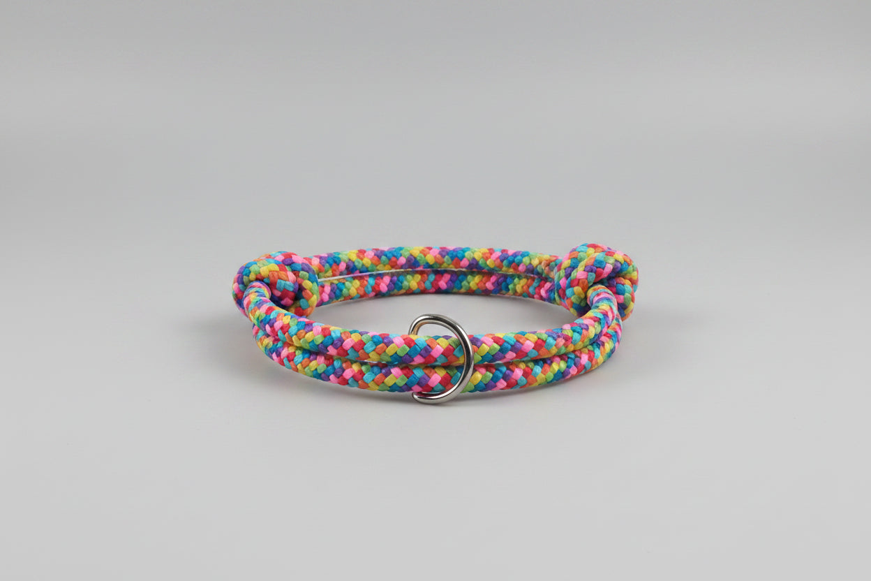 Colorful braided dog collar 