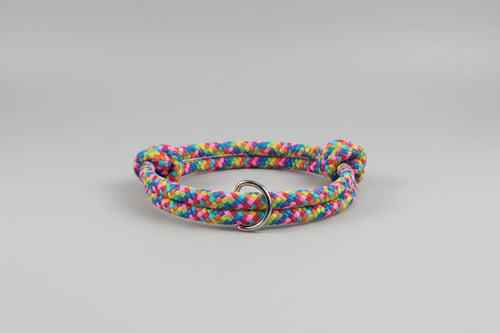 Colorful braided dog collar 