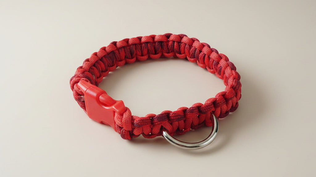 Red dog collar with a metal ring 