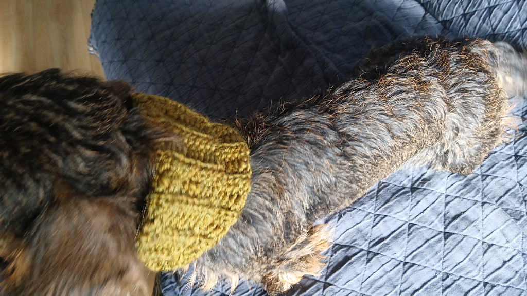 Khakigroene hondensnood, gehaakte hondensjaal, handgemaakte nekwarmer voor huisdieren