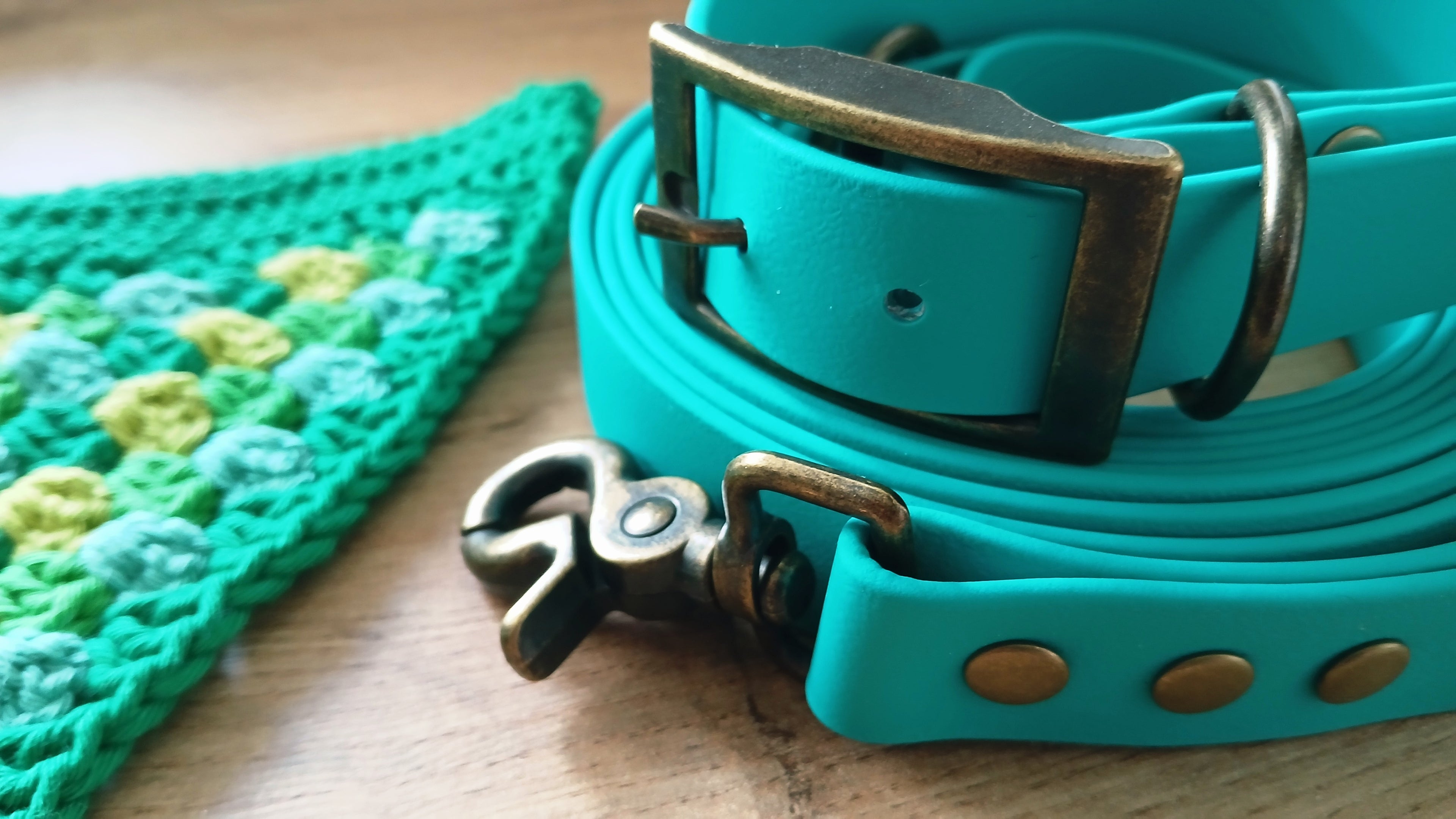 Auqa Green Biothane Dog Collar and Leash Set With Crochet Dog Bandana - Handcrafted Dog Walking Bundle