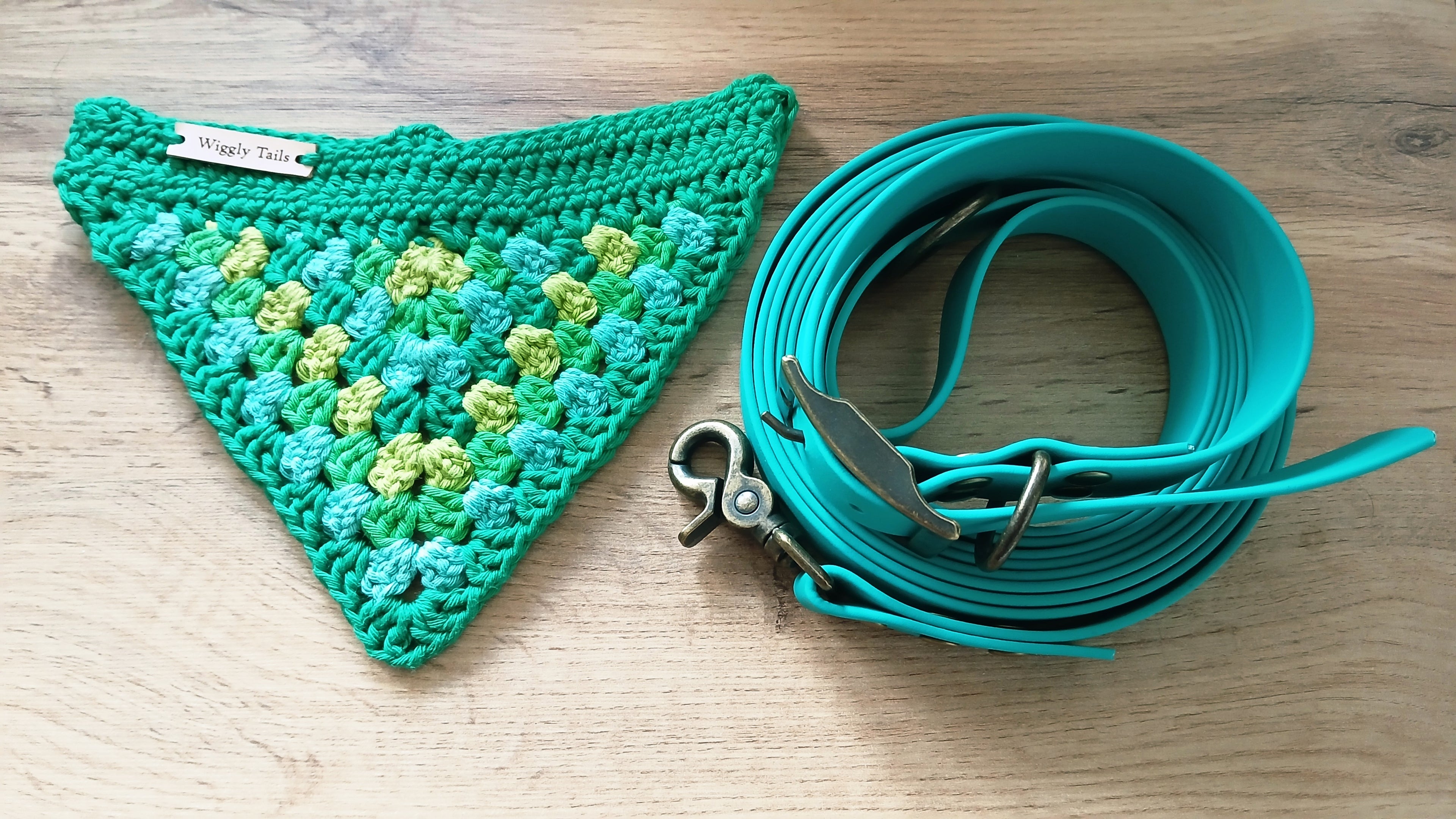 Auqa Green Biothane Dog Collar and Leash Set With Crochet Dog Bandana - Handcrafted Dog Walking Bundle