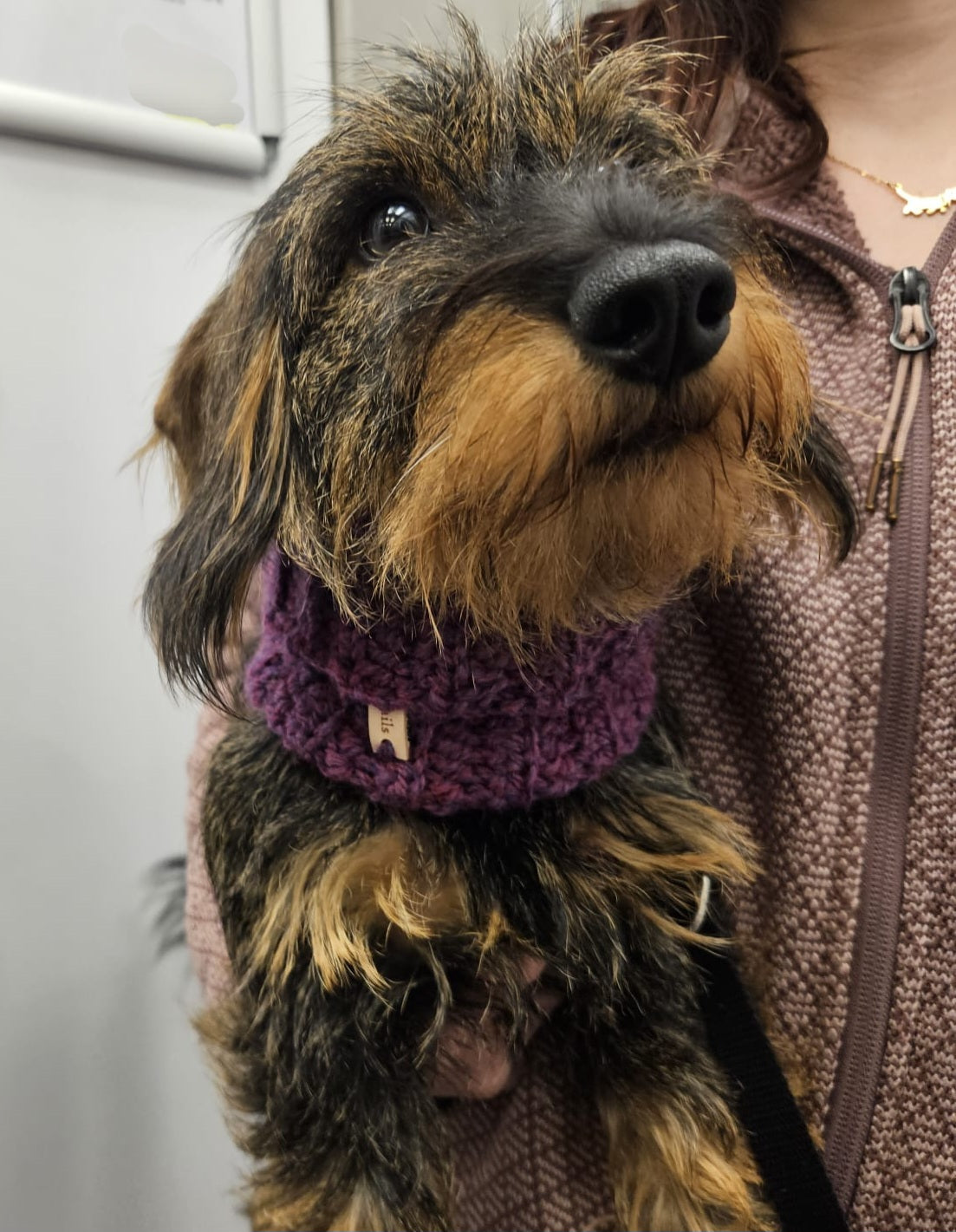 Purple Dog Snood, Crochet Dog Scarf, Handmade Pet Neck Warmer