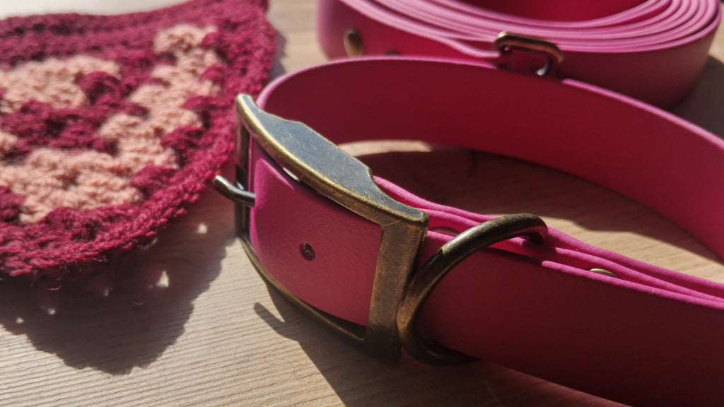 Pink Biothane Dog Collar and Leash Set With Crochet Dog Bandana - Dog Walking Bundle
