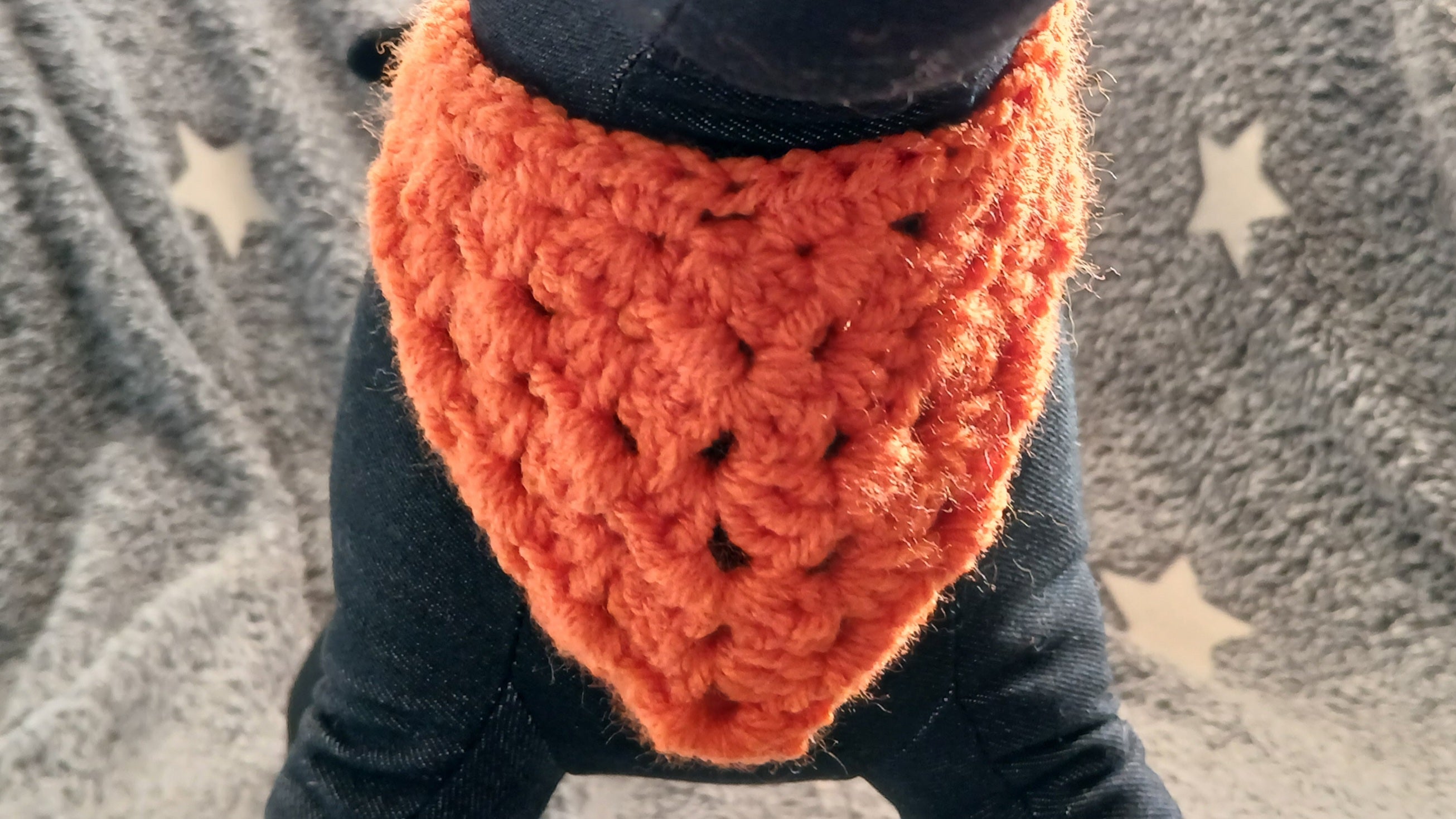 Oranje gehaakte hondenbandana - maat XS-XL - Koningsdag hondenstropdas