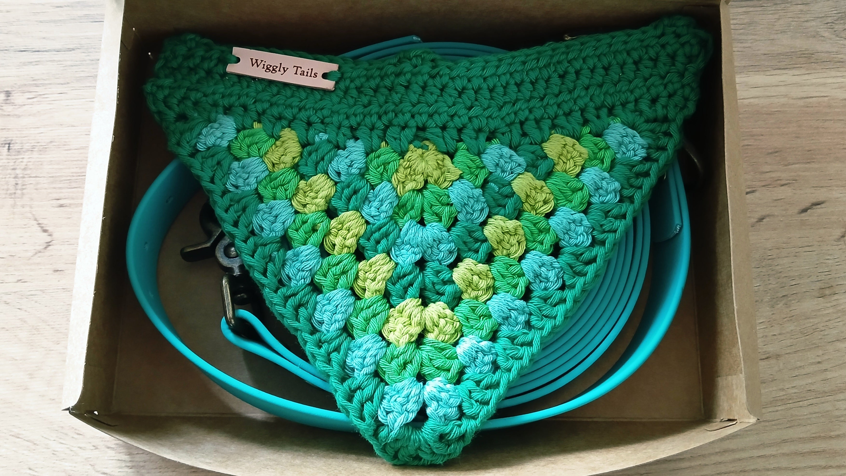 Auqa Green Biothane Dog Collar and Leash Set With Crochet Dog Bandana - Handcrafted Dog Walking Bundle