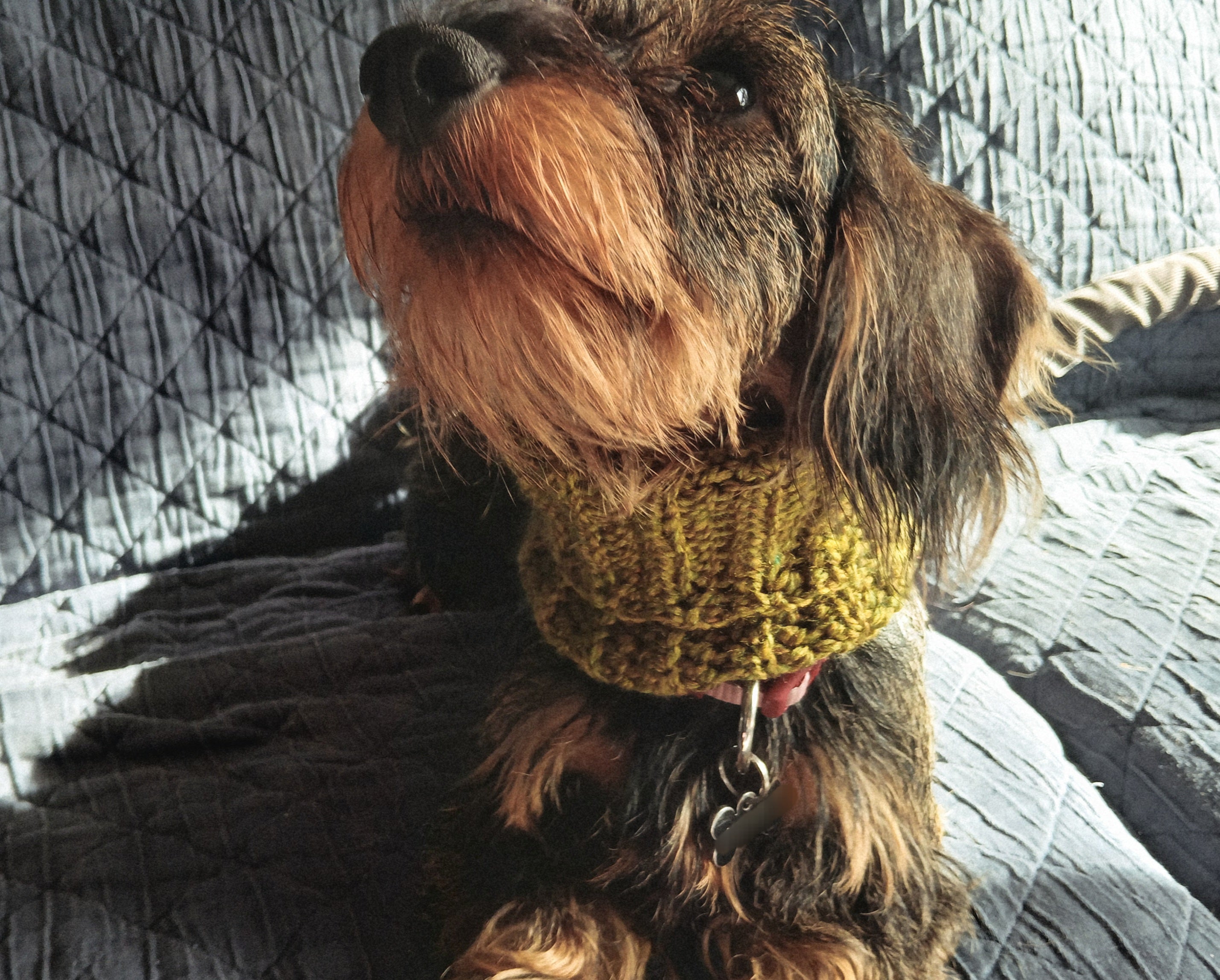 Khakigroene hondensnood, gehaakte hondensjaal, handgemaakte nekwarmer voor huisdieren