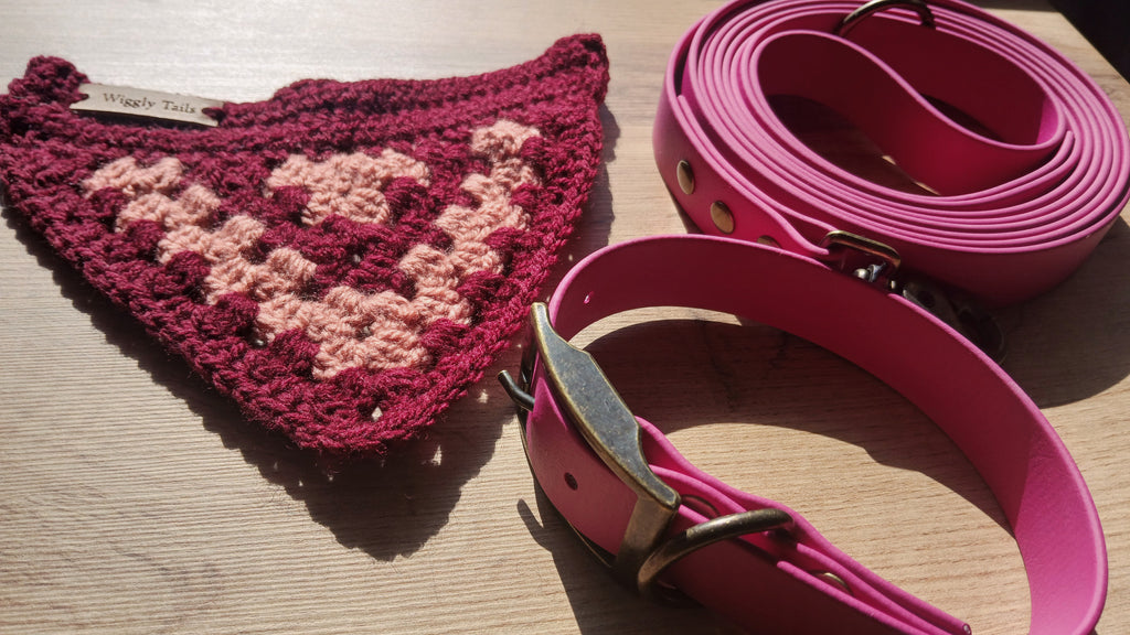 Pink Biothane Dog Collar and Leash Set With Crochet Dog Bandana - Dog Walking Bundle