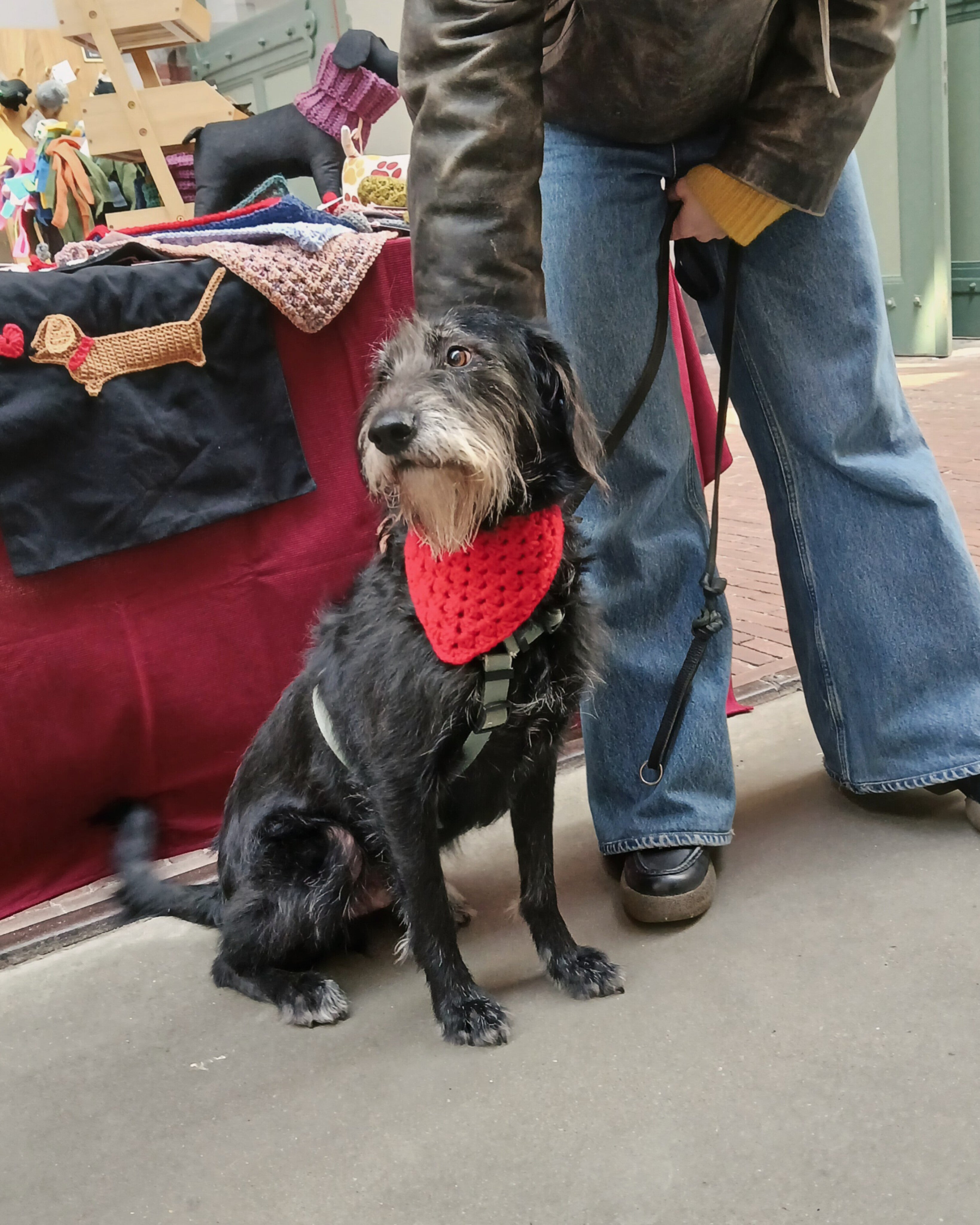 Red Dog Bandana, Handmade Puppy Neckwear, Crochet Pet Clothing, Size XS-L