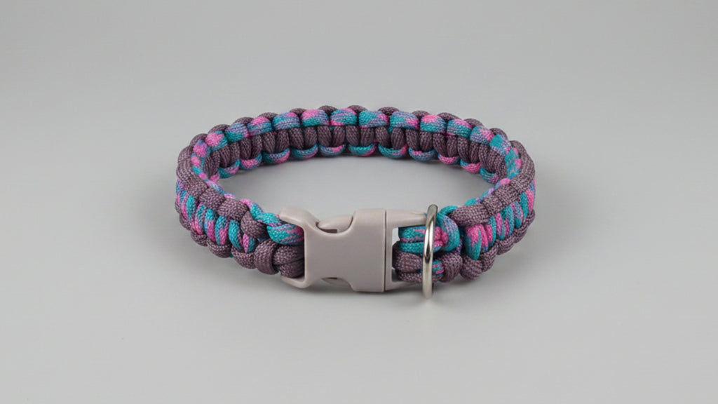 Multicolored braided dog collar